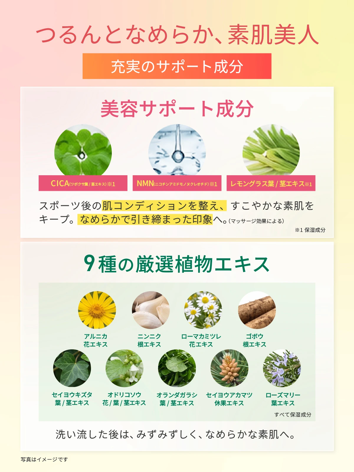 スクラブ | BBuilder からだをきれいに美しく。理想の肉体美を求めて。